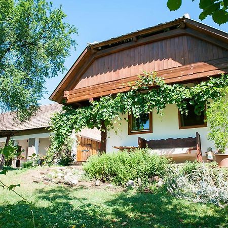 Hotel Fecskefeszek Vendeghaz Őriszentpéter Zewnętrze zdjęcie